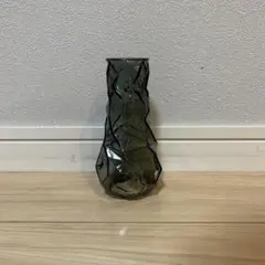 IWATADENKI スペシャルグレー　ホヤのみ IWATADENKI スペシャルグレー ホヤのみ - メルカリ