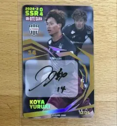 Item thumbnail for item 28b8be13-380f-4a3d-ad03-9b4fc1259322