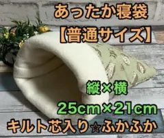 Item thumbnail for item 790a1669-3fe6-4c52-9d28-868a2bfeb05f