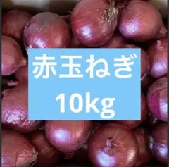 10キロ‼️おいしい‼️赤玉ねぎ詰め合わせ⭐️農家直送のサムネイル