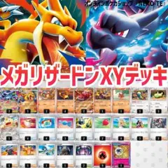 新レギュ対応！メガリザードンX ex Y exデッキ リッチエネルギー搭載