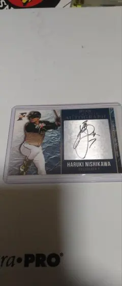 Item thumbnail for item 16578727-1ae6-4f48-9251-31f87b55353e