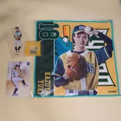 Item thumbnail for item b981f0b5-9b77-4071-883c-5b886ecb28ae