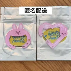 スキズ dominATE アンコン カラビナ チャンビン トェッキ 2種セット