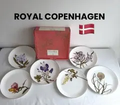 《34》【ROYAL COPENHAGEN】FLORA 6枚セット27cmのサムネイル