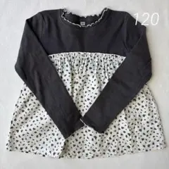 Item thumbnail for item b6e3c0d7-040a-4185-a387-cfbf6700086e