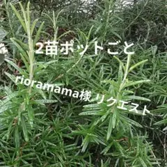 rioramama様 リクエスト 3点 まとめ商品