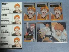 ハイキュー　ファンパーク　名刺カード　箔押しクリアカード　クリアカード　日向翔陽