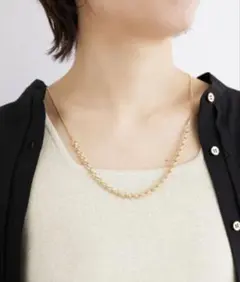 le. coeur bland/ハーフチェーンスライドネックレスのサムネイル