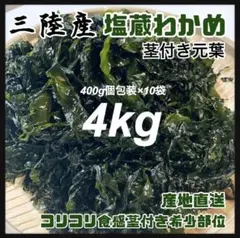 訳あり品】塩蔵わかめ 4kg 三陸産 わかめ 大容量 初物 訳あり お買い得