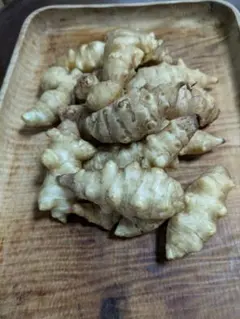 新鮮　菊芋1.3kg