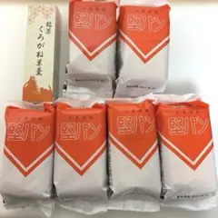 【5/30限定】堅パン6袋・くろがね羊羹1個　セット　北九州銘菓　スピナ