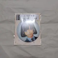 ヒカルの碁　塔矢アキラ　おっきめ缶バッジ