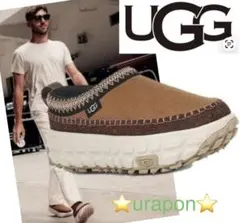 超美品✨26⇒25薄手靴下✨UGG✨VENTURE DAZE✨ベンチャーデイズ