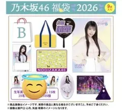 乃木坂46 川﨑桜 lucky bag B グッズまとめ売り