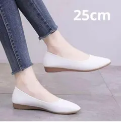 Item thumbnail for item 9cc598d7-da16-40e7-b3b3-d0bfe461d3d4