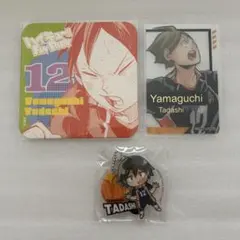 ハイキュー！！ ファンパーク ぴた！でふぉめ 山口忠