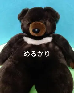 2025年最新】サンアンドスター ツキノワグマの人気アイテム