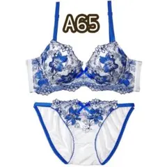 ビビッドブロッサムエンブロイダリー育乳脇高ブラジャー&フルバックショーツ DRW