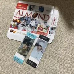 txt スビン クリアしおり 2種コンプセット