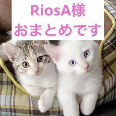 RiosA様 リクエスト 2点 まとめ商品