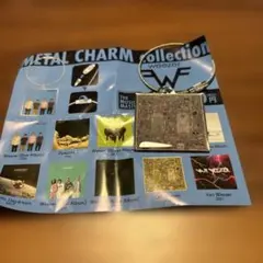 2026年最新】WEEZER キーホルダーの人気アイテム - メルカリ