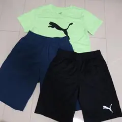 PUMA Tシャツとショートパンツセット150