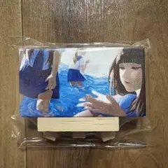 池田瑛紗 Wings:あひるの夢 ミニキャンバス SEASON 3 個展