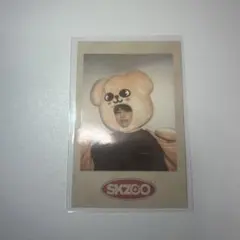 straykids スキズ スンミン skzoo ポラロイド skz-x