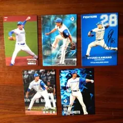 カルビー　プロ野球 チップスカード２０２５ 北海道日本ハムファイターズ６枚セット