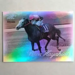 VICTORY 2000，ビワハヤヒデ