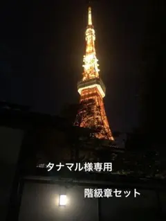 タナマル様専用