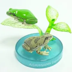 海洋堂 旭山動物園カプセル・ズー Vol.5 「ニホンアマガエル」