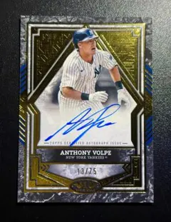 2026年最新】アンソニー・ボルピの人気アイテム - メルカリ