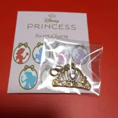 Disneyプリンセスシークレットチャームアリエル