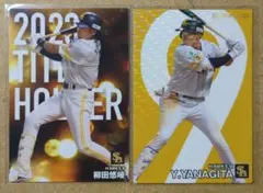 柳田 悠岐 9 福岡ソフトバンクホークス プロ野球チップスカード 2024