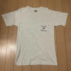 90s FRUIT OF THE LOOM Tシャツ Mサイズ　グレー　USA製