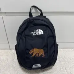 【美品】THE NORTH FACE キッズ ホームスライス 8L