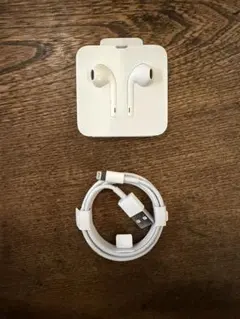 iPhone11付属のライトニング端子の有線イヤホンとケーブルのセット　未使用品