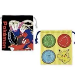 マチ付き巾着　２枚セット　ポケモン