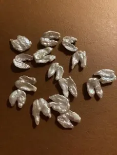 琵琶湖パール　ケシパール