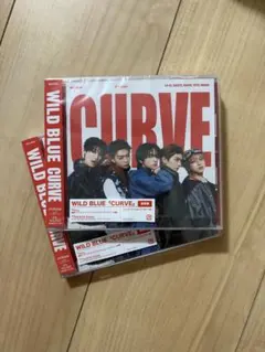 WILD BLUE CURVE 通常盤 CD 未開封