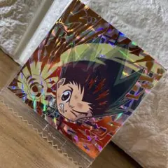 ハンターハンターウエハース3 ゴン　HR