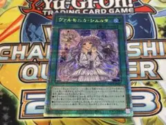 ヴァルモニカ・シェルタ スリーブ