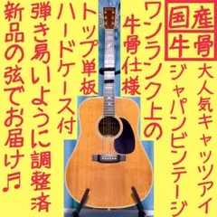 2026年最新】cat s eyes CEの人気アイテム - メルカリ