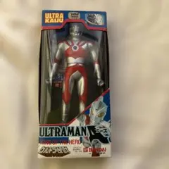 Item thumbnail for item 510bf379-f13c-4da9-9fca-c2bf5399f26c