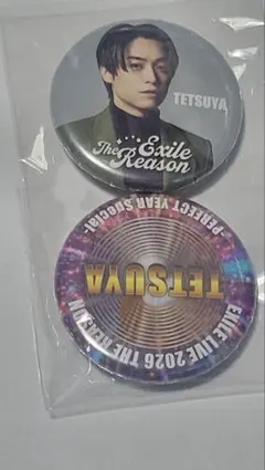 EXILE　TETSUYA　缶バッジ2個セット　⑤