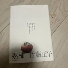 熟柿 佐藤正午 KADOKAWA