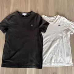 LACOSTE スリムフィット Tシャツ 2色セット