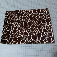 Item thumbnail for item 4b6d37b9-e2fd-4590-979d-401a0d82368b